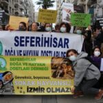 Hayvan hakları savunucularından açıklama: Belediyeler suç işliyor