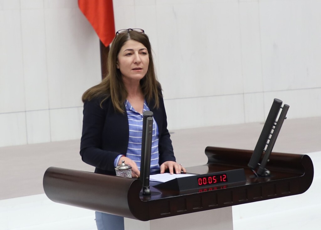 Züleyha Gülüm, Çanakkale Köprüsü’nün açılışı sonrası feribot ücretlerine yapılan zammı Meclis’e taşıdı