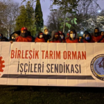 Ağaç A.Ş. işçileri Saraçhane’de eylem yaptı