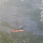 İzmir’deki ikinci orman yangını kontrol altına alındı
