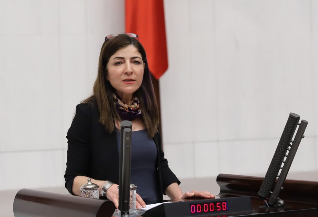 Züleyha Gülüm, ‘Evim’ mağdurlarının sorunlarını Meclis’e taşıdı