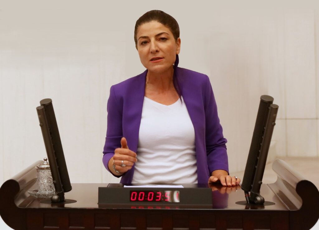 Züleyha Gülüm, tutuklanan 16 gazeteciyi Meclis gündemine taşıdı