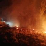 Manisa ve Kütahya’da orman yangını!