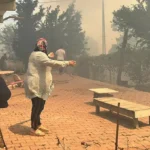 İstanbul’da orman yangını çıktı
