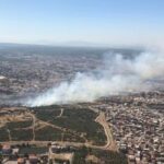 İzmir Seferihisar’da orman yangını çıktı