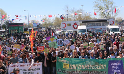 kadıköyde ekoloji buluşması