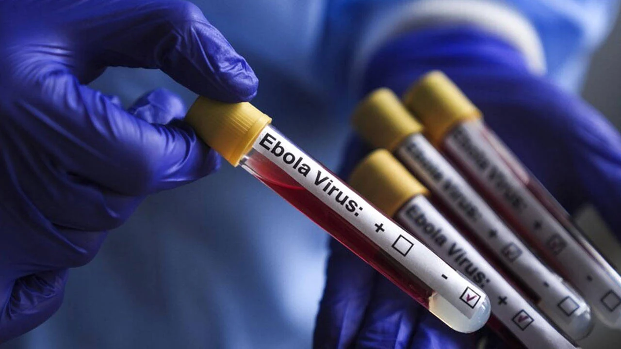 dsoden ebola alarmi kongo da 900 den fazla supheli vaka tespiti