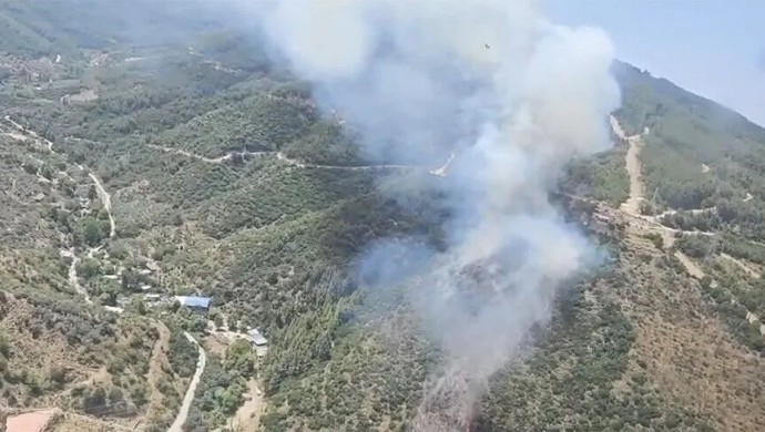 İzmir ve Kütahya’da orman yangını