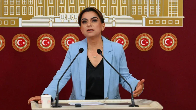 DEM Parti’den ‘çerçeve yasa’ açıklaması: Bu hafta İmralı Heyeti’ne sunulacak