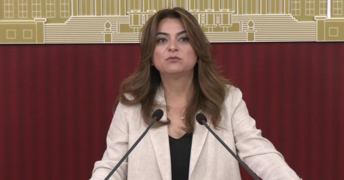 Koçyiğit: Çerçeve yasa bir sonuç değil, çözüm sürecinin başlangıcı