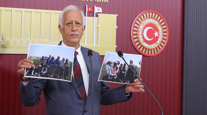 Sinan Çiftyürek: Mevsimlik tarım işçileri ağır sömürü koşullarında çalıştırılıyor
